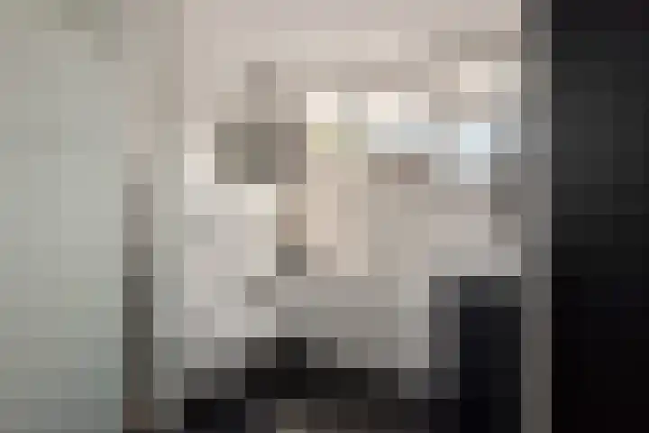Hooge akker 11 Vessem thumbnail 26