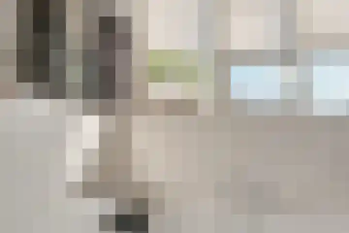 Hooge akker 11 Vessem thumbnail 29