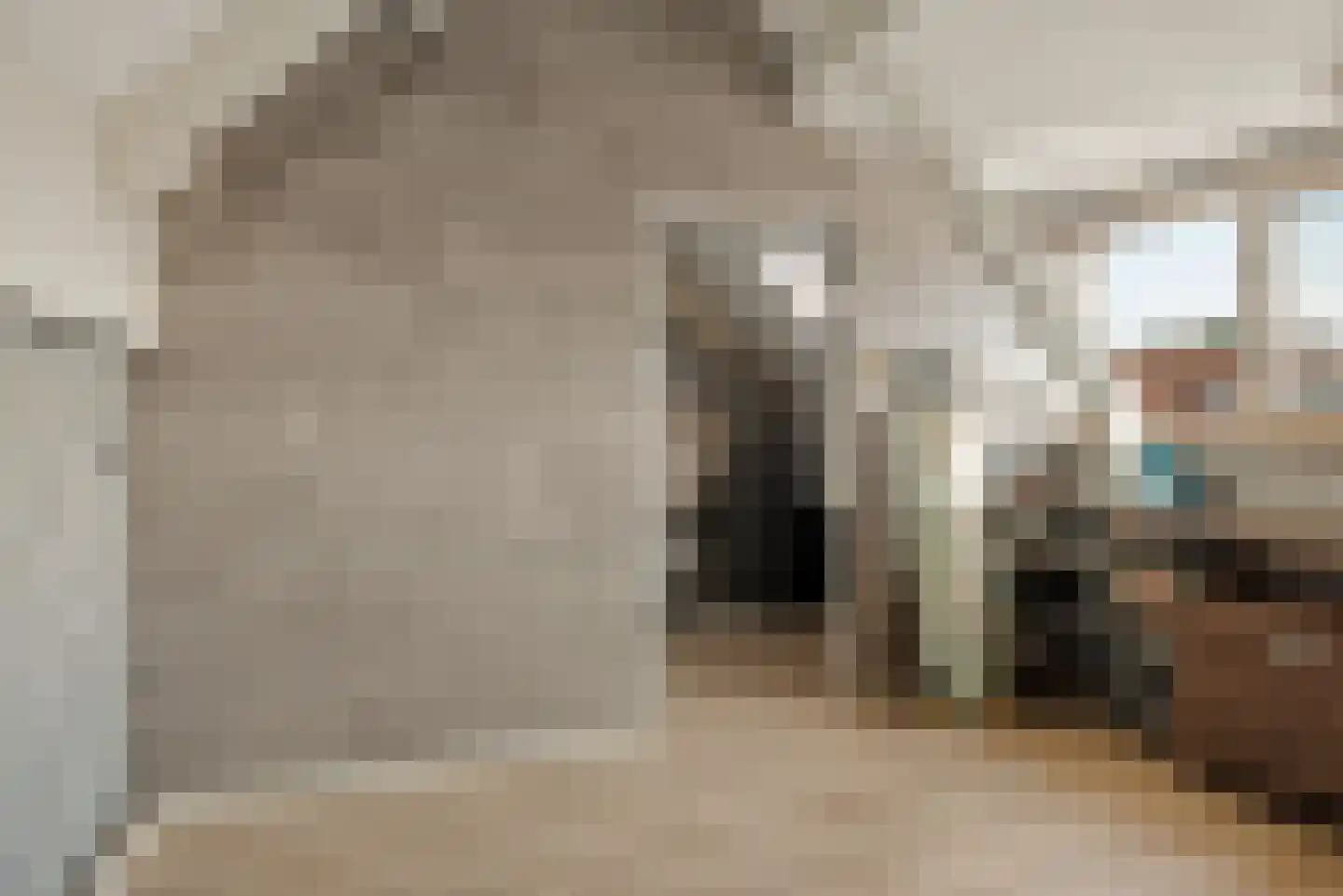 Hooge akker 11 Vessem thumbnail 31