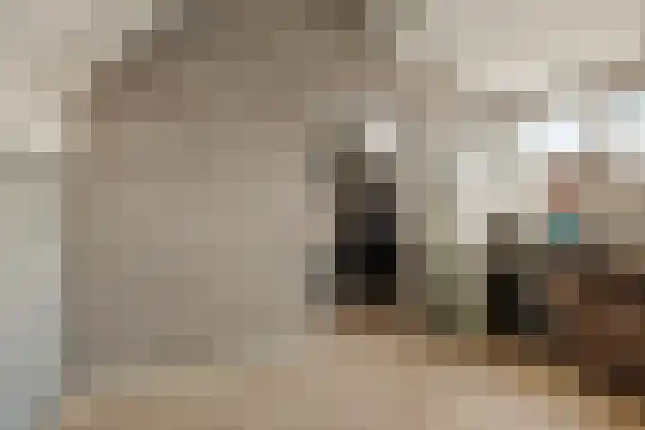 Hooge akker 11 Vessem thumbnail 31