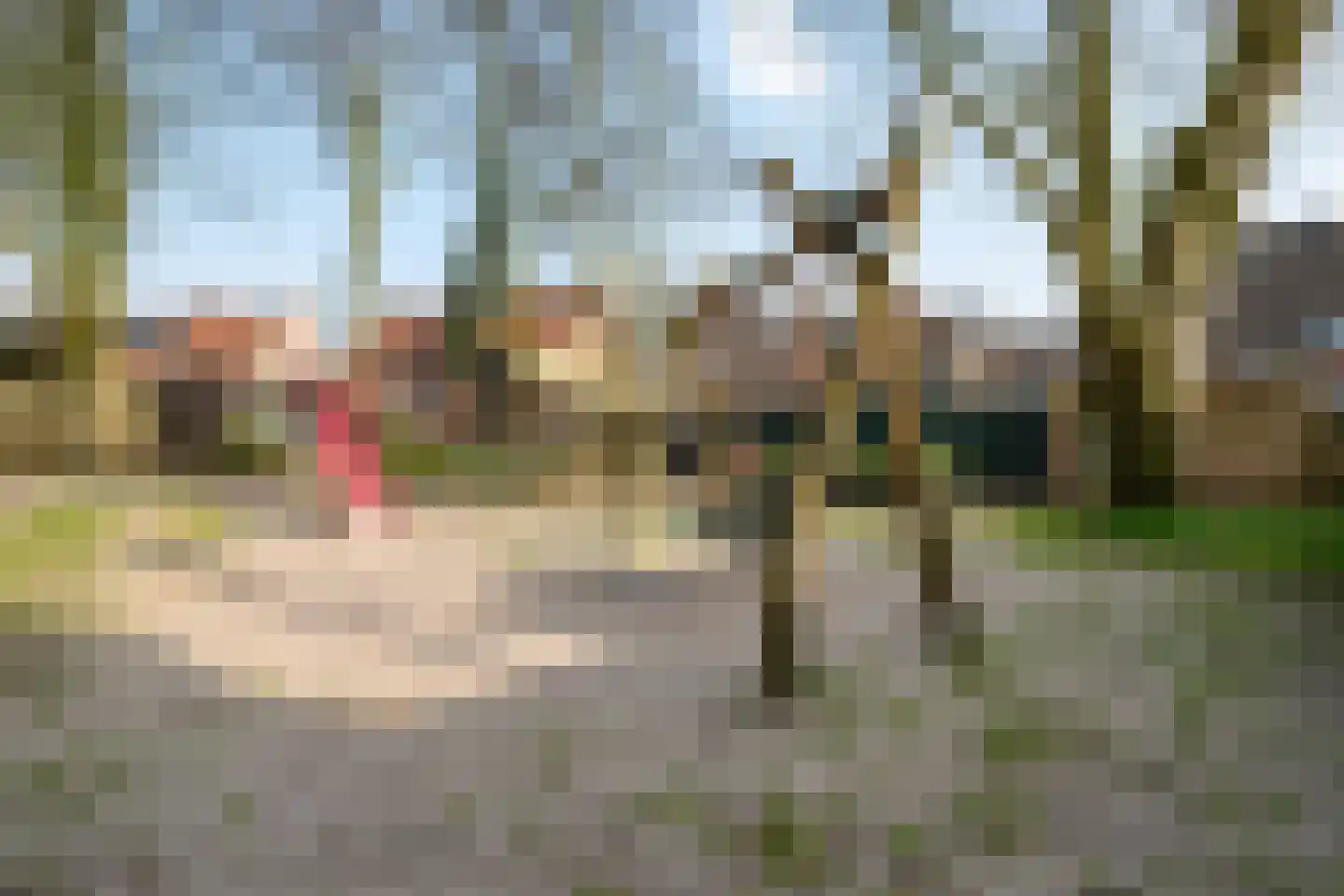 Hooge akker 11 Vessem thumbnail 36