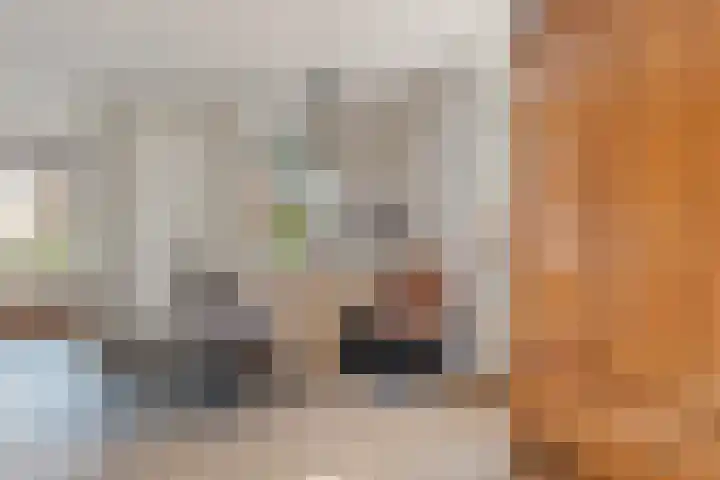 Hooge akker 11 Vessem thumbnail 5
