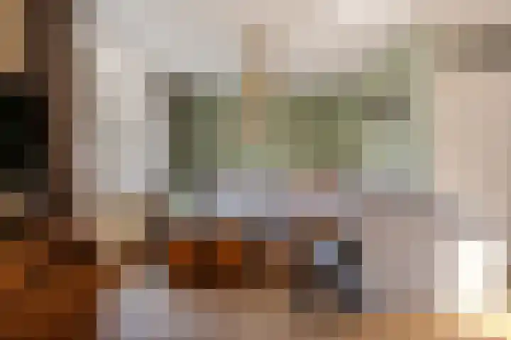 Hooge akker 11 Vessem thumbnail 7