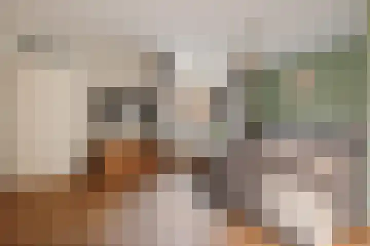Hooge akker 11 Vessem thumbnail 8