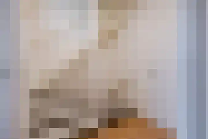 Hooge akker 9 Vessem thumbnail 23
