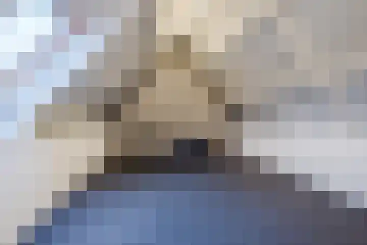 Hooge akker 9 Vessem thumbnail 24