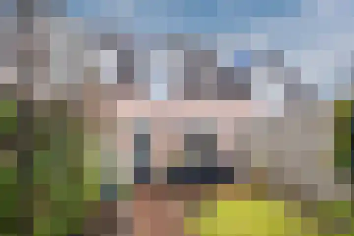 Hooge akker 9 Vessem thumbnail 29