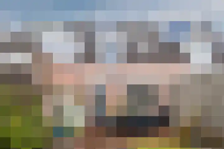 Hooge akker 9 Vessem thumbnail 30