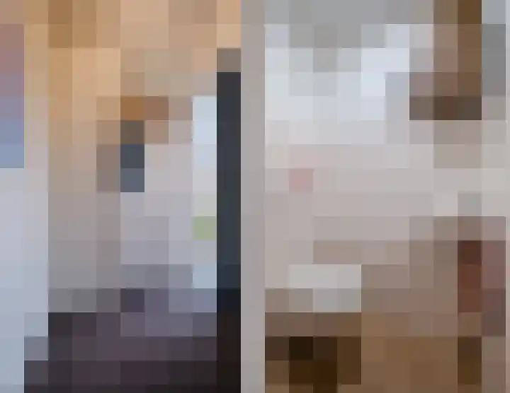 Hooge akker 9 Vessem thumbnail 4