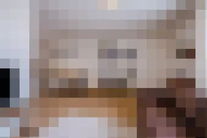 Hooge akker 9 Vessem thumbnail 6