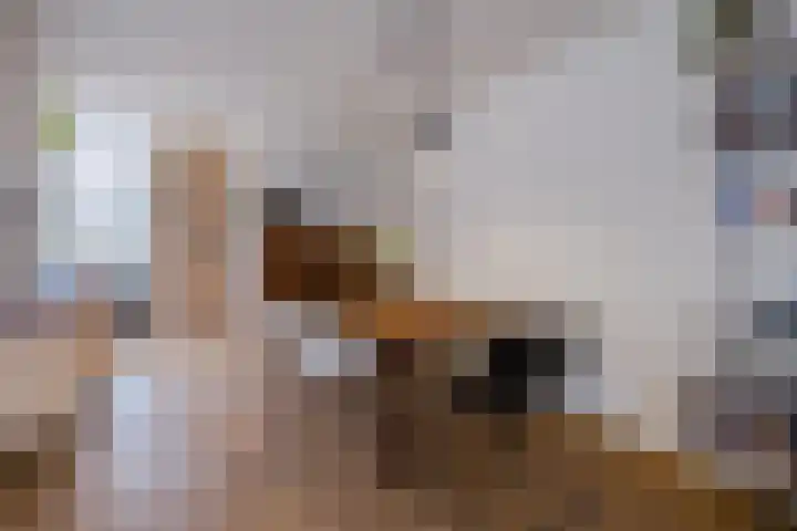 Hooge akker 9 Vessem thumbnail 8