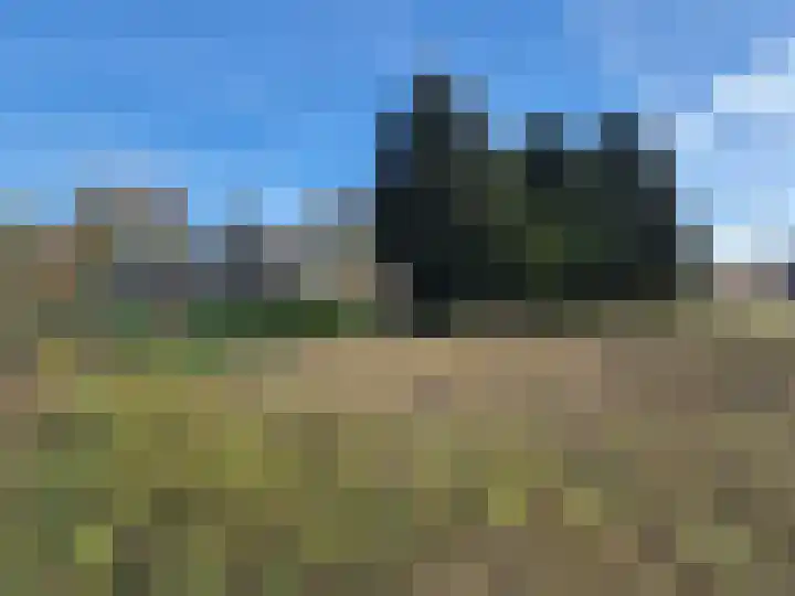 Hooge Berkt 19 a Bergeijk thumbnail 34