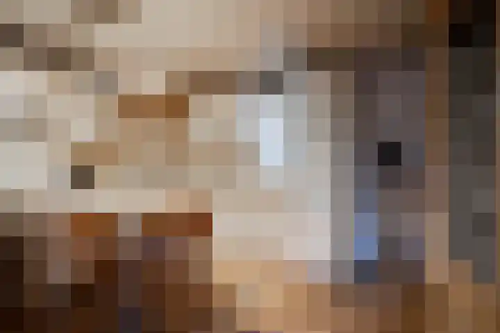 Hooge Braak 1 Bakel thumbnail 10