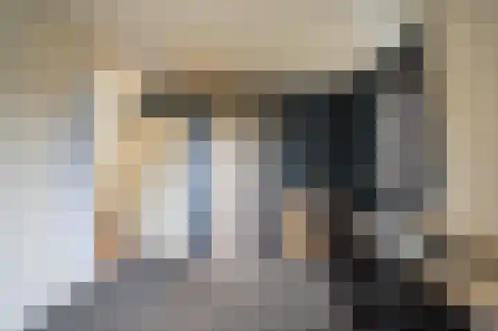 Hooge Braak 1 Bakel thumbnail 16