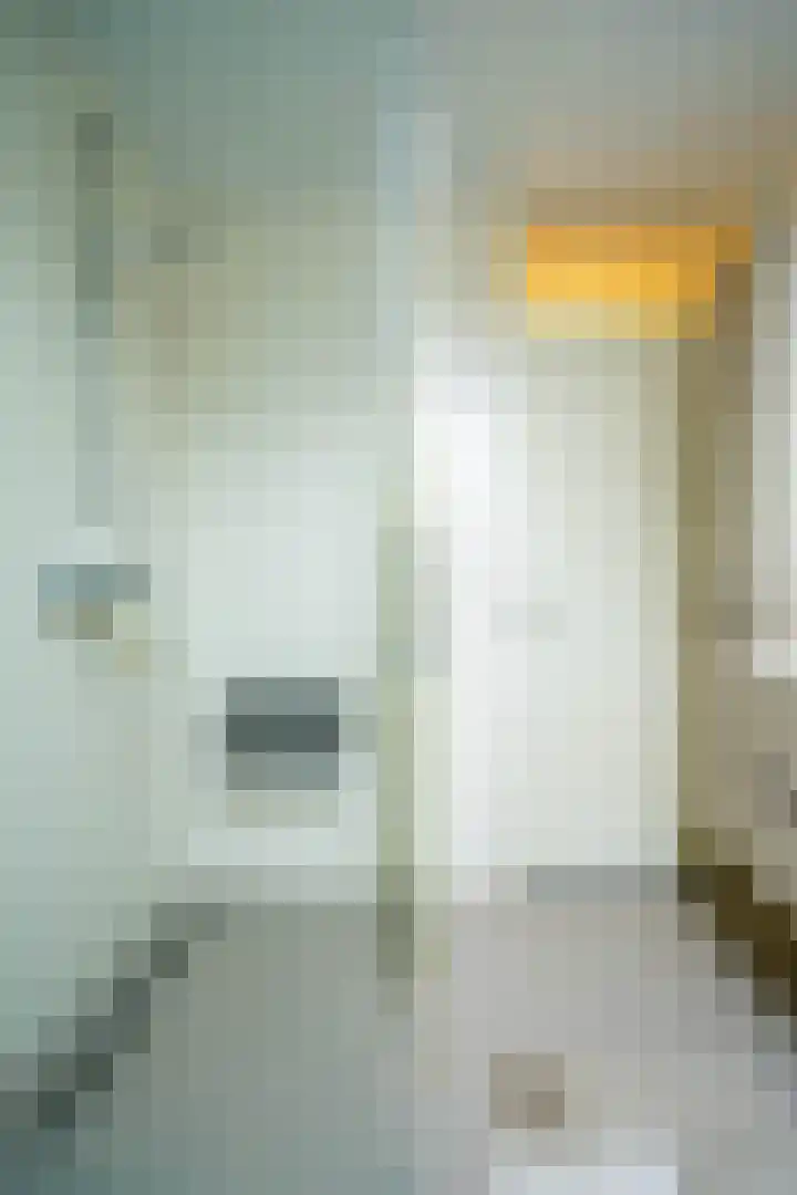 Hooge Braak 1 Bakel thumbnail 20