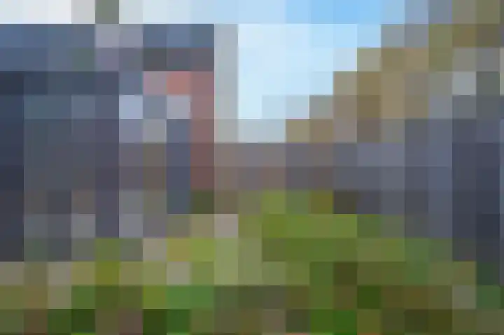 Hooge Braak 1 Bakel thumbnail 26