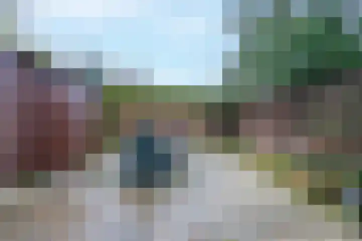 Hooge Braak 1 Bakel thumbnail 27