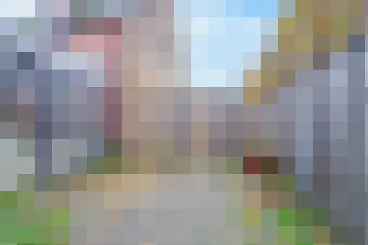 Hooge Braak 1 Bakel thumbnail 28