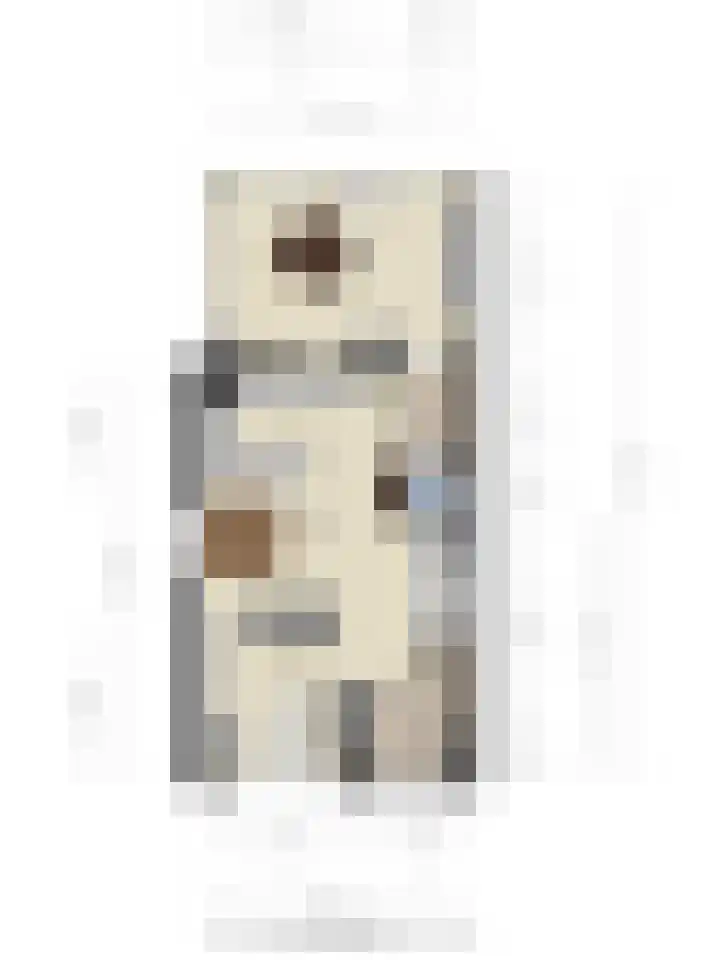 Hooge Braak 1 Bakel thumbnail 29