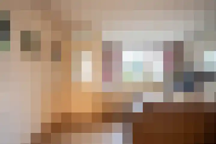 Hooge Braak 1 Bakel thumbnail 5