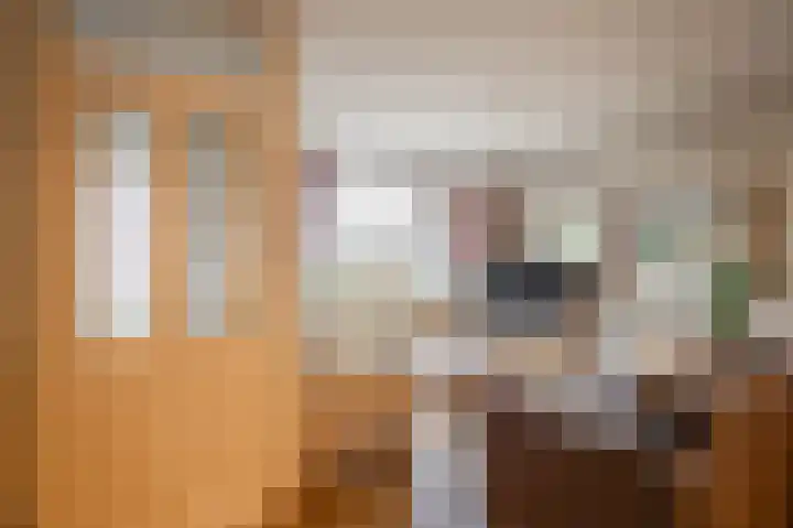 Hooge Braak 1 Bakel thumbnail 7