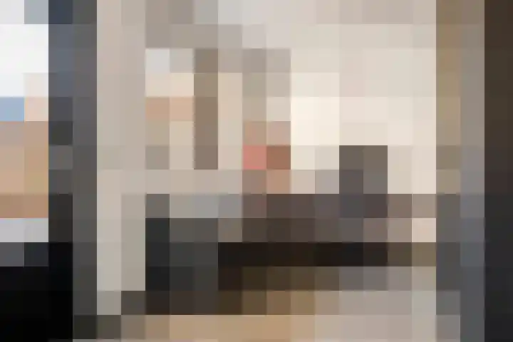 Hooge Hoeven 49 Geldermalsen thumbnail 14
