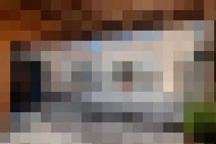 Hooge Hoeven 49 Geldermalsen thumbnail 28