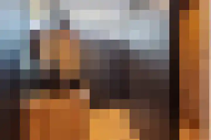 Hooge Hoeven 49 Geldermalsen thumbnail 42