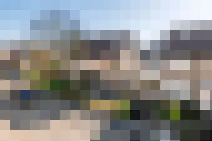 Hooge Hoeven 49 Geldermalsen thumbnail 6