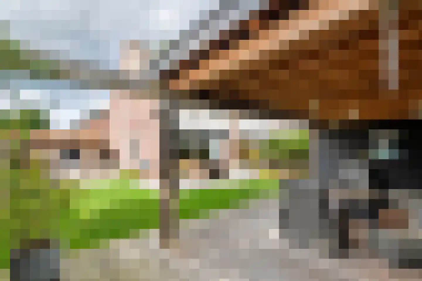 Hooge Hoeven 78 Geldermalsen thumbnail 37
