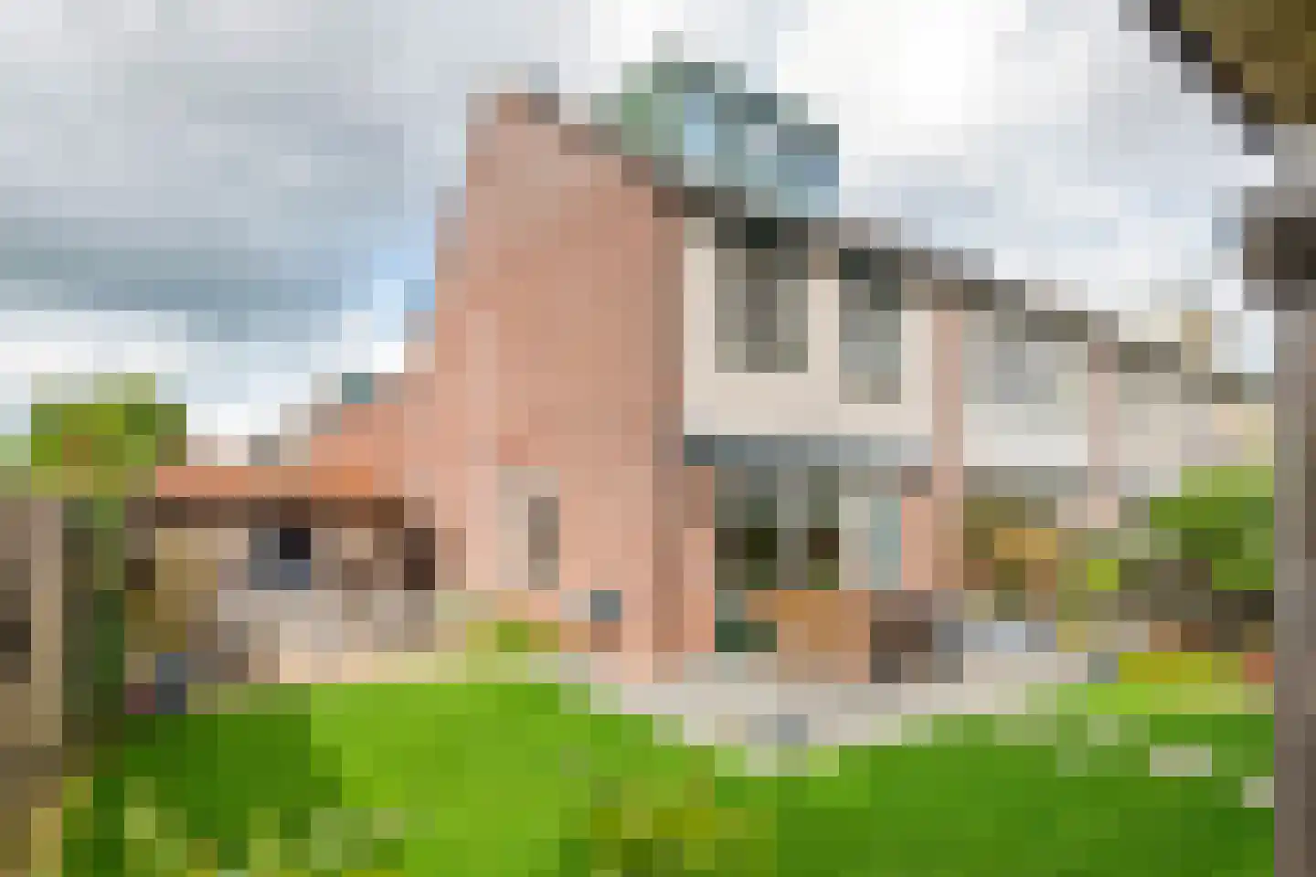 Hooge Hoeven 78 Geldermalsen thumbnail 41