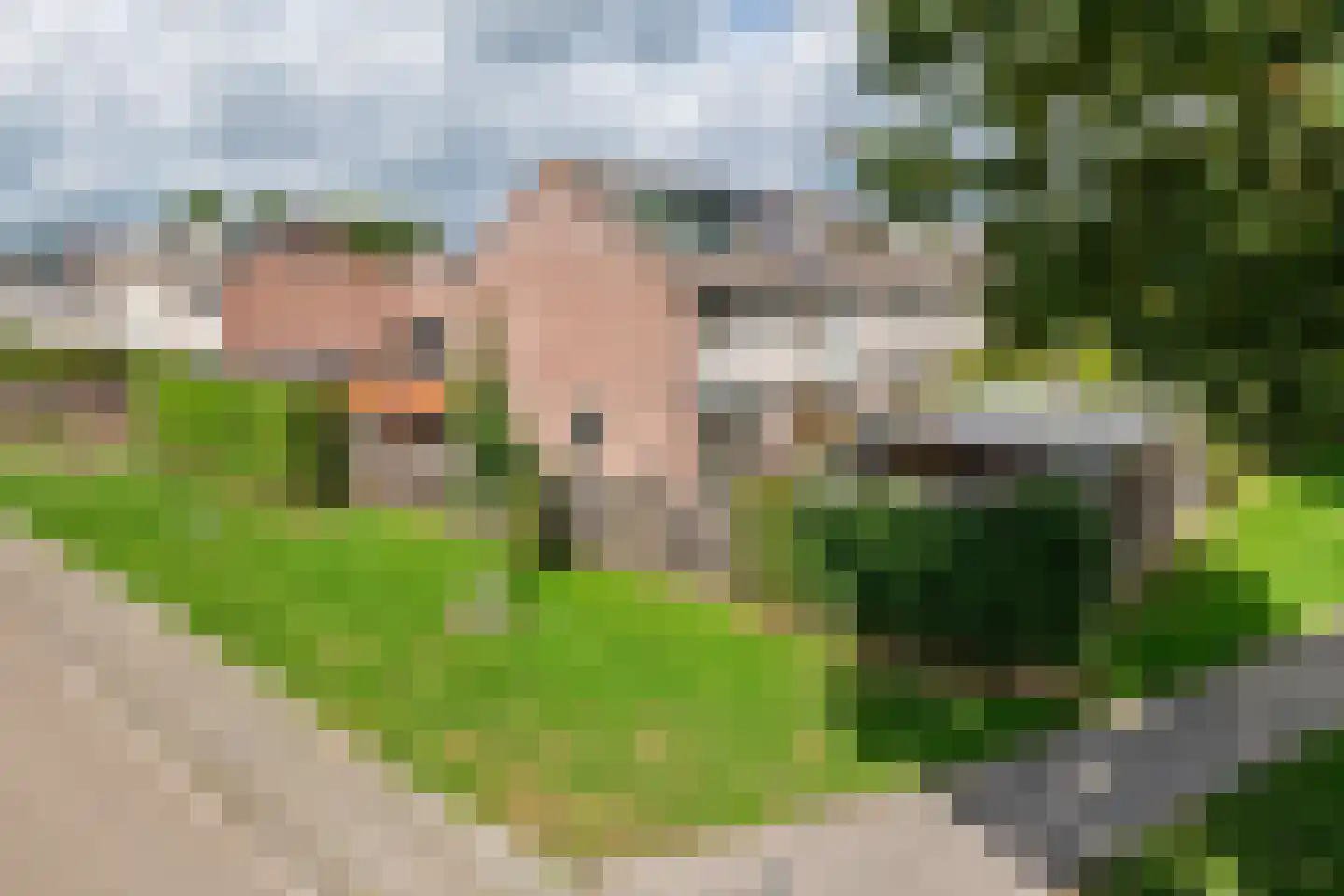 Hooge Hoeven 78 Geldermalsen thumbnail 48