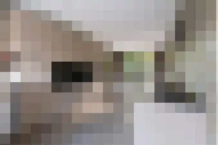 Hooge Riet 11 Ermelo thumbnail 13