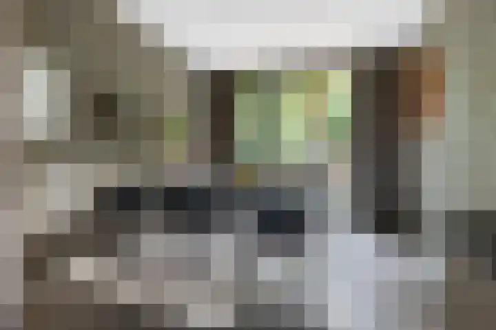 Hooge Riet 11 Ermelo thumbnail 15