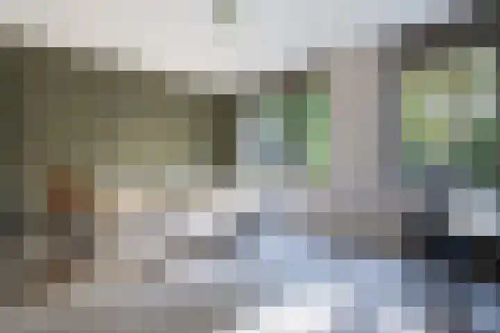 Hooge Riet 11 Ermelo thumbnail 20