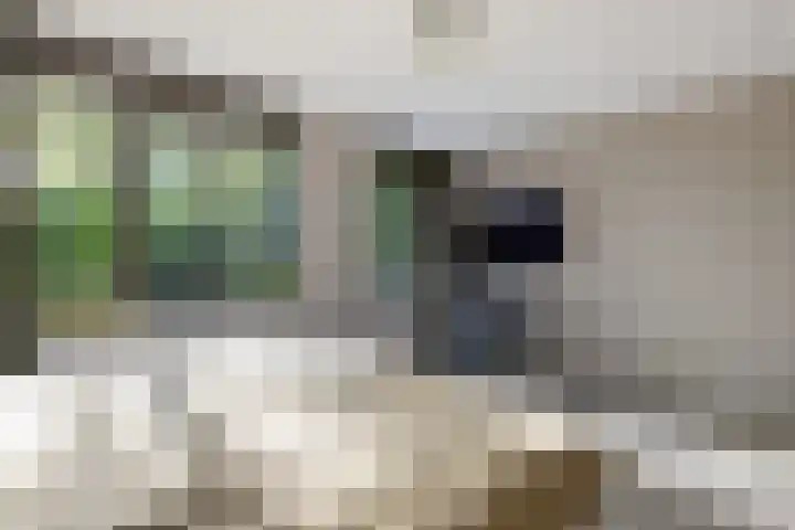 Hooge Riet 11 Ermelo thumbnail 22