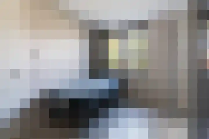 Hooge Riet 11 Ermelo thumbnail 25