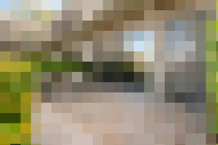 Hooge Riet 11 Ermelo thumbnail 38
