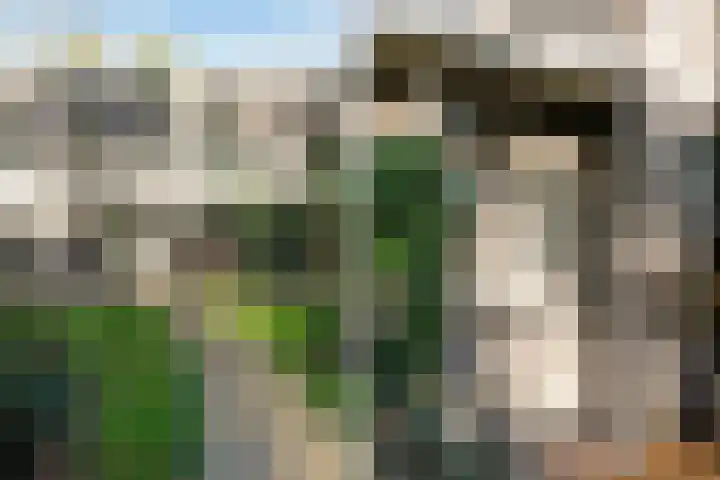 Hooge Riet 11 Ermelo thumbnail 4