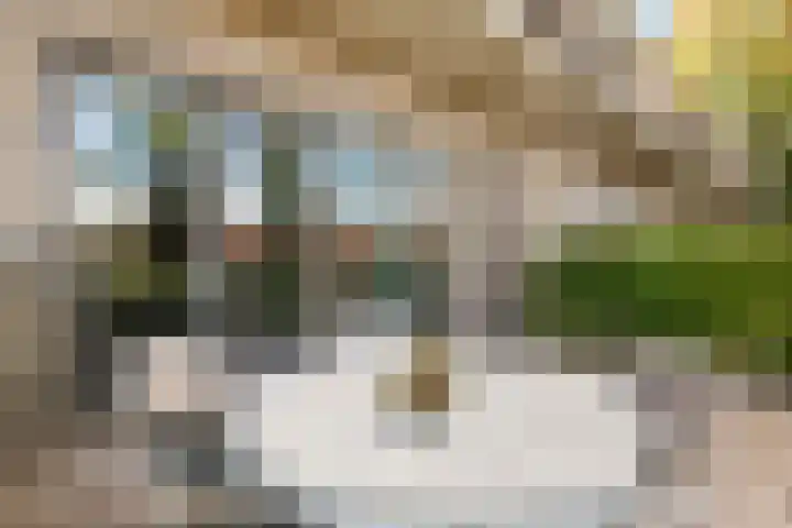Hooge Riet 11 Ermelo thumbnail 40