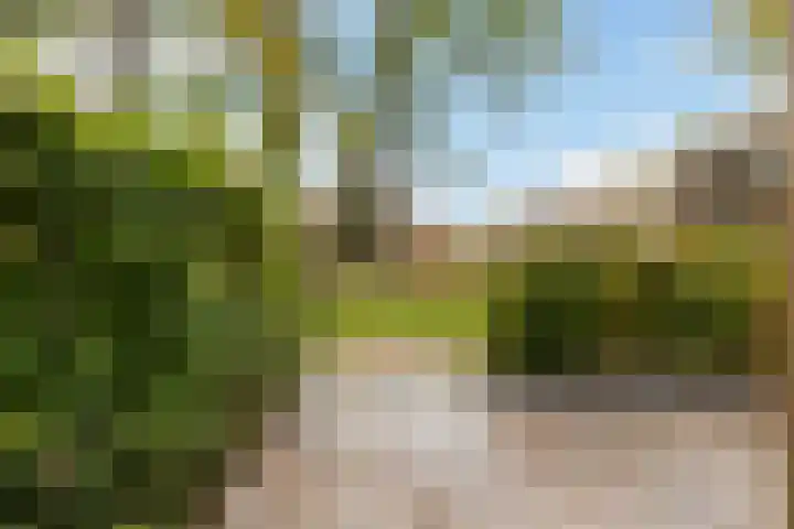 Hooge Riet 11 Ermelo thumbnail 41