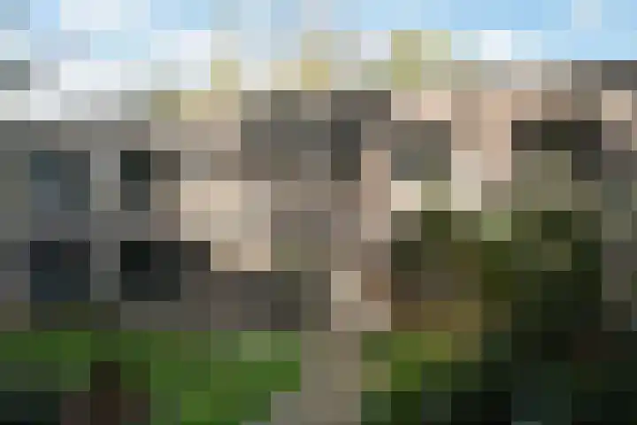Hooge Riet 11 Ermelo thumbnail 42