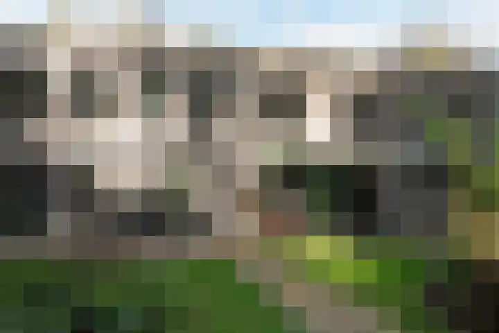 Hooge Riet 11 Ermelo thumbnail 43
