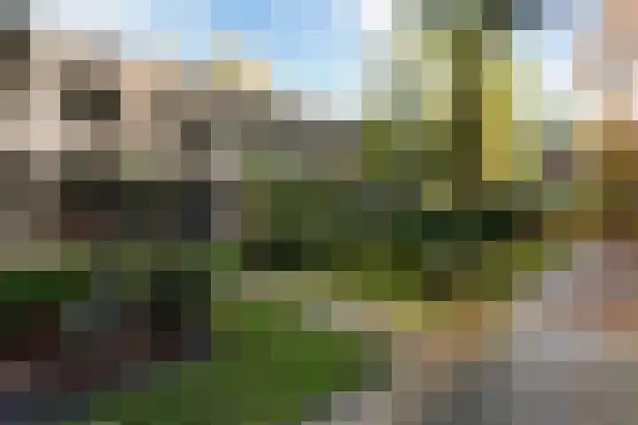 Hooge Riet 11 Ermelo thumbnail 44