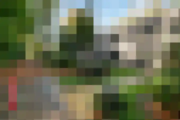 Hooge Riet 11 Ermelo thumbnail 45