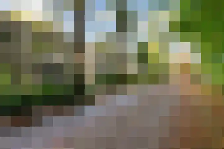Hooge Riet 11 Ermelo thumbnail 46