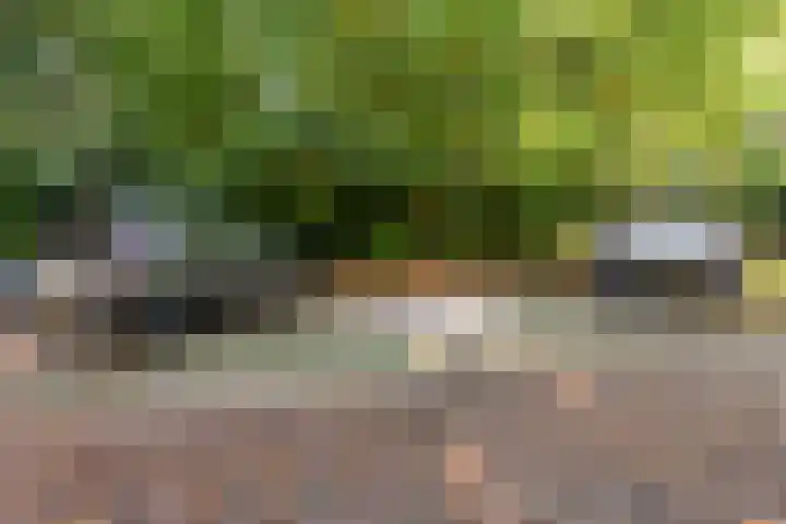 Hooge Riet 11 Ermelo thumbnail 47