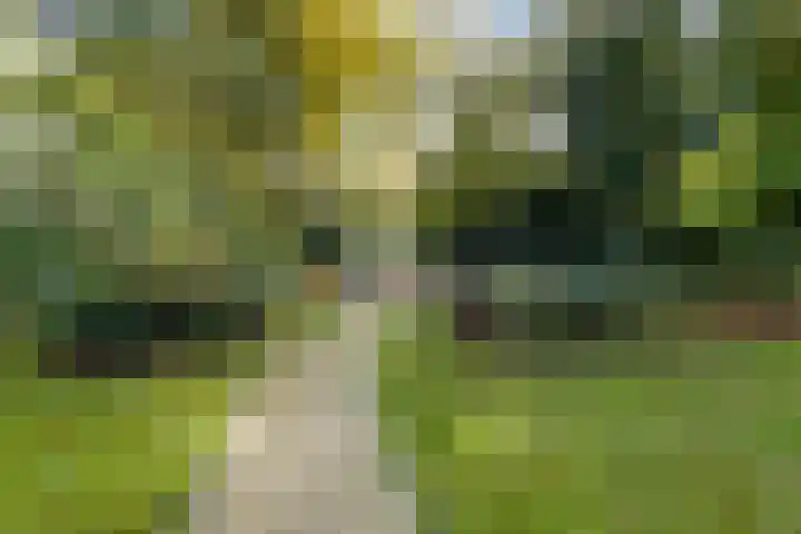 Hooge Riet 11 Ermelo thumbnail 48