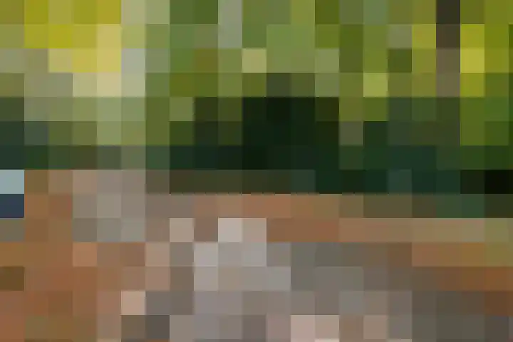 Hooge Riet 11 Ermelo thumbnail 49