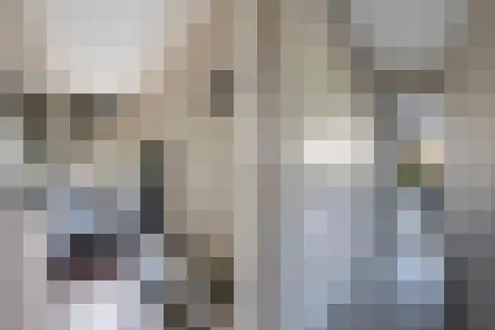 Hooge Riet 11 Ermelo thumbnail 5